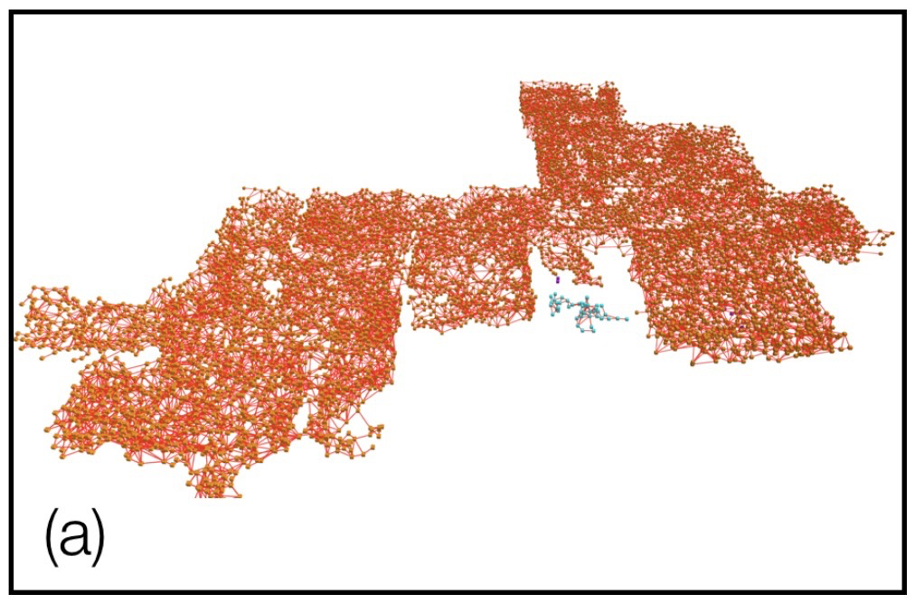 Known and unknown shape object parsing